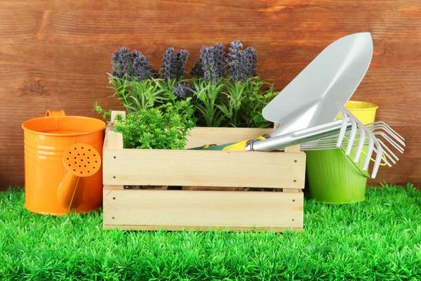 Garden tools on grass in yard — Stock Photo, Image