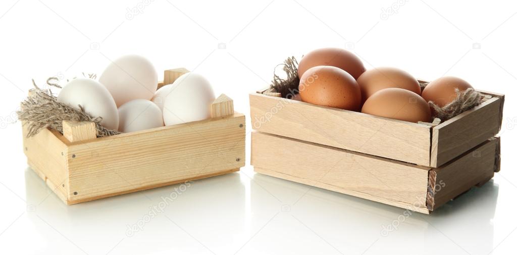 Many eggs in boxes isolated on white