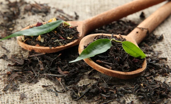 Dry tea with green leaves in wooden spoons, on burlap background — Stockfoto