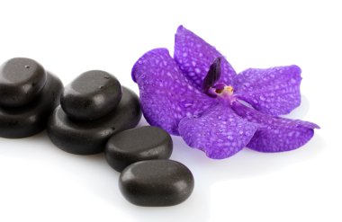 Spa taşlar ve üzerinde beyaz izole mor çiçek