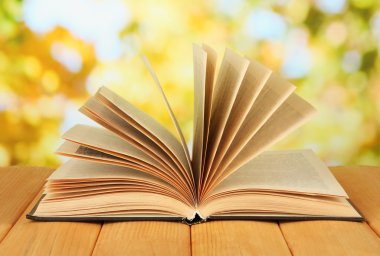 parlak zemin üzerine açık kitap