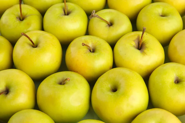 Manzanas jugosas, primer plano —  Fotos de Stock