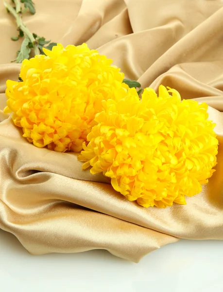 Ramo de flores de crisantemos de color amarillo brillante en tela, aislado en blanco —  Fotos de Stock