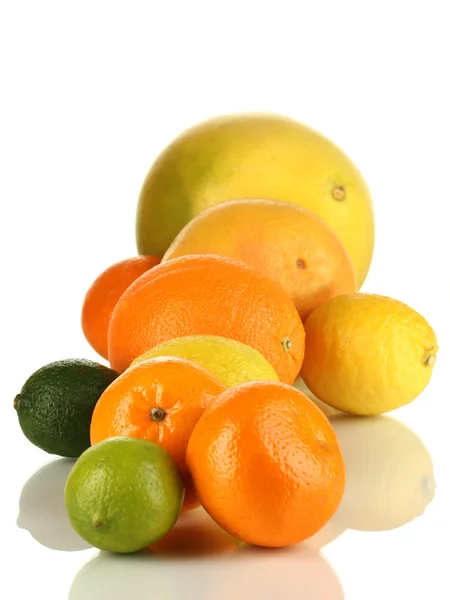 Veel rijp citrus geïsoleerd op wit — Stockfoto