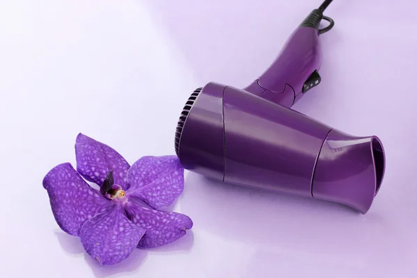 Haardroger en bloem op paarse achtergrond — Stockfoto