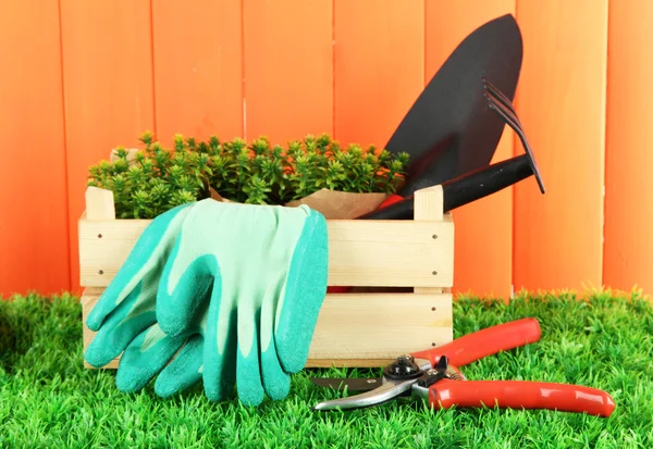 Attrezzi da giardino su erba in iarda — Foto Stock