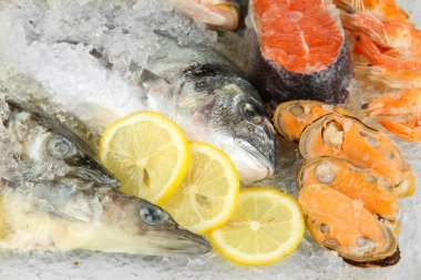 buz üstünde taze deniz ürünleri