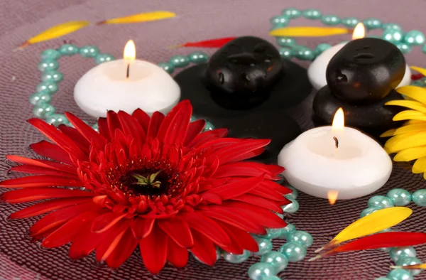 Pietre termali con fiori e candele in acqua sul piatto — Foto Stock