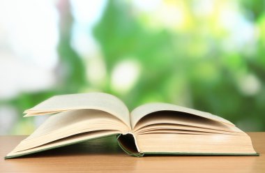 parlak zemin üzerine açık kitap
