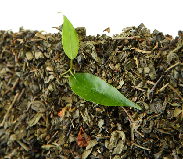 Dry tea with green leaves, isolated on white — Stok fotoğraf