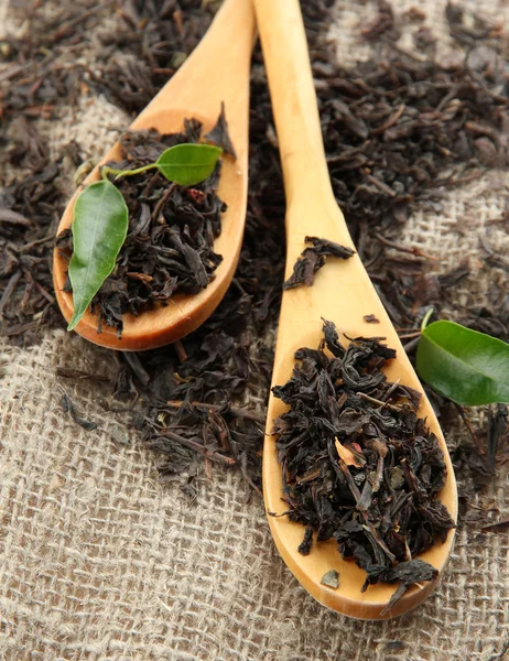 Сухой чай с зелеными листьями в деревянных ложках, на фоне мешковины — стоковое фото