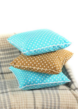 kanepede üstüne beyaz izole renkli yastıklar