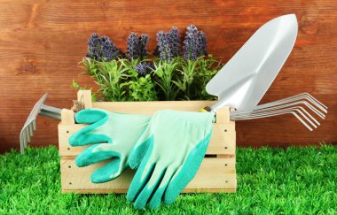 bahçede çimlerin üzerine Bahçe aletleri