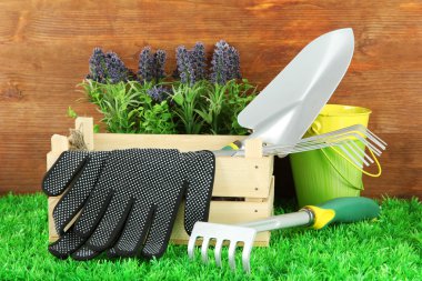 bahçede çimlerin üzerine Bahçe aletleri