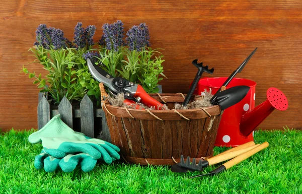 Tuingereedschap op gras in de tuin — Stockfoto