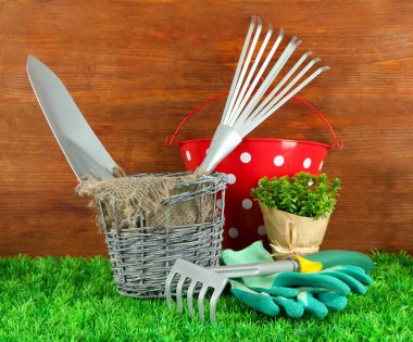 bahçede çimlerin üzerine Bahçe aletleri