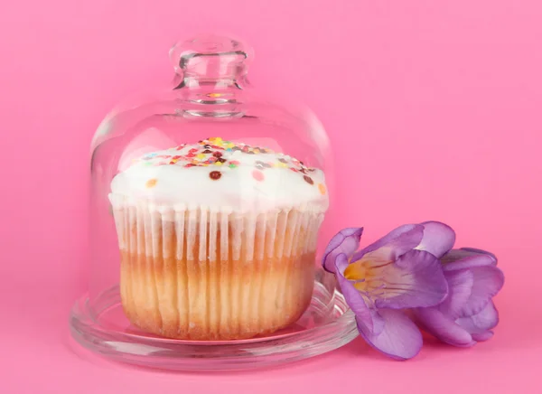 Cupcake στο πιατάκι με γυάλινο κάλυμμα, σε φόντο χρώμα — Φωτογραφία Αρχείου