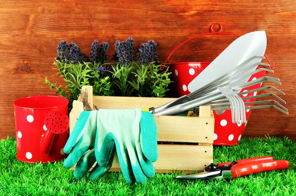 bahçede çimlerin üzerine Bahçe aletleri