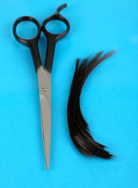 Кусочки волос подстрижены ножницами на синем фоне — стоковое фото