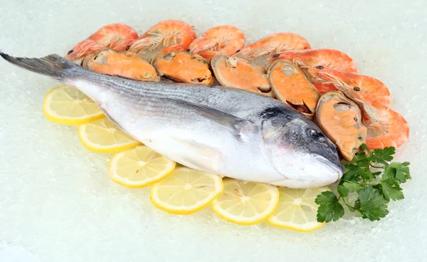 Fresh seafood on ice — Stock Photo, Image