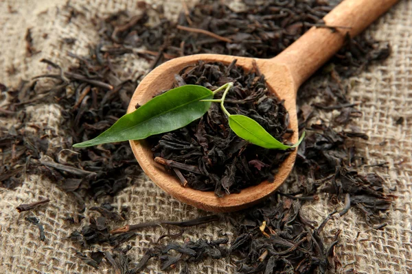 Té seco con hojas verdes en cuchara de madera, sobre fondo de arpillera — Foto de Stock