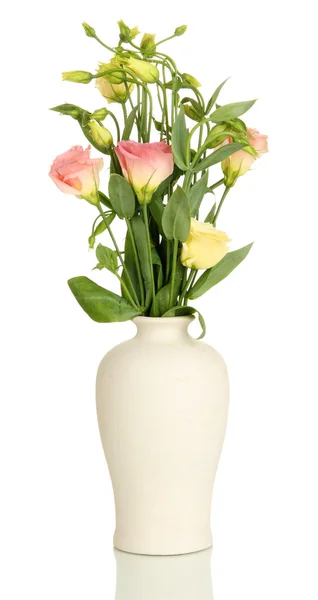 Bouquet of eustoma flowers in vase isolated on white — Stock Photo, Image