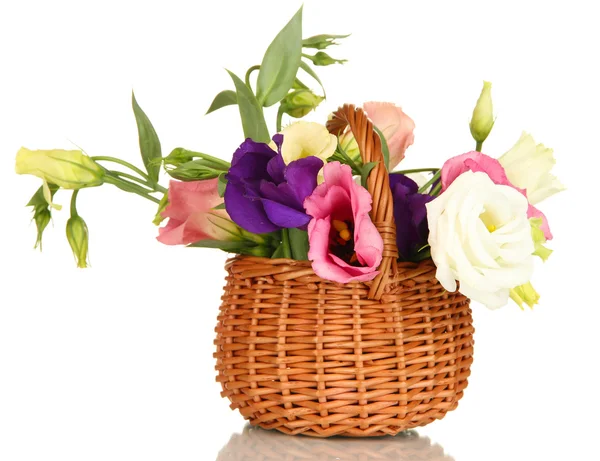 Букет цветов эустомы в плетеной корзине изолирован на белом — стоковое фото