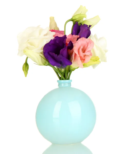 Bouquet di fiori di eustoma in vaso isolato su bianco — Foto Stock