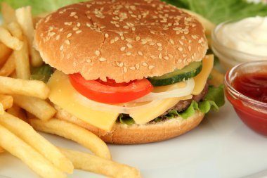 parlak zemin üzerine kızarmış patates ile lezzetli peynirli burger