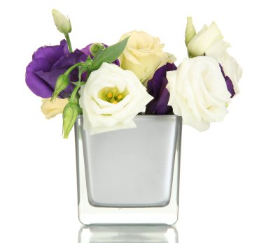 eustoma üzerinde beyaz izole Vazoda Çiçekler buket