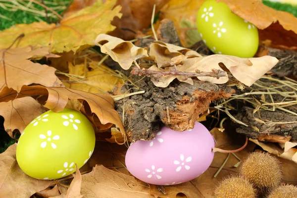Пасхальные яйца, скрытые в листьях — стоковое фото