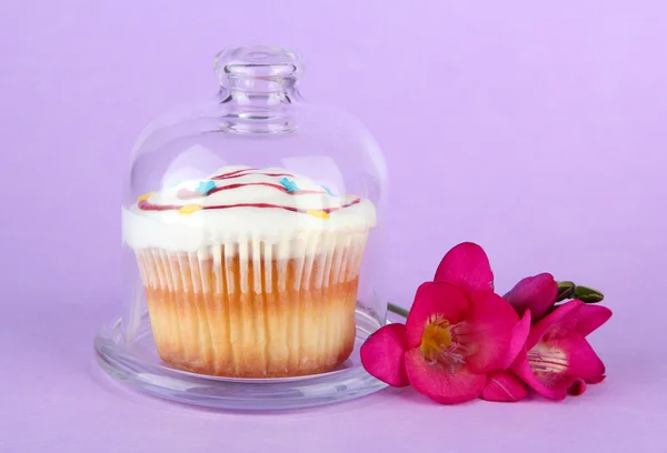 Cupcake on saucer with glass cover, on color background — Stock Photo, Image