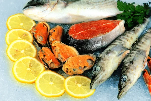 Fresh seafood on ice — Stock Photo, Image