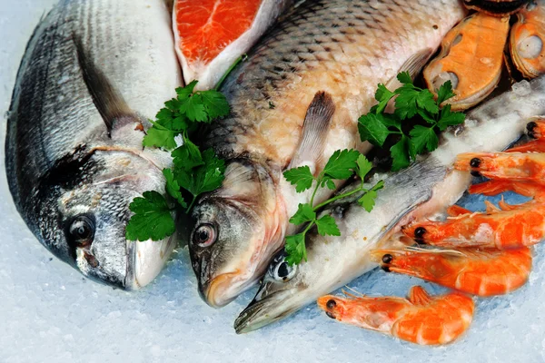 Fresh seafood on ice — Stock Photo, Image