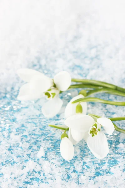 Bouquet of snowdrop flowers, on snow background — Stock Photo, Image