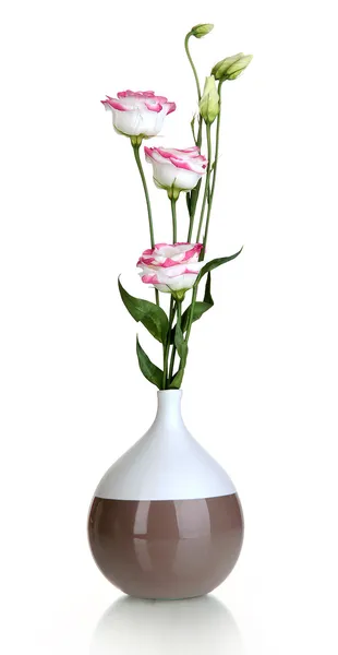 Boeket van eustoma bloemen in vaas geïsoleerd op wit — Stockfoto