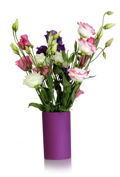 Bouquet of eustoma flowers in vase isolated on white — Stock Photo, Image