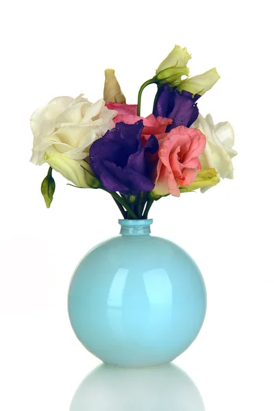 Bouquet of eustoma flowers in vase isolated on white — Stock Photo, Image