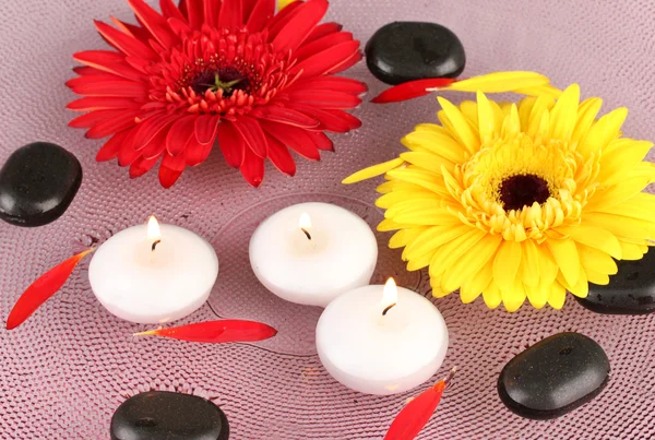 Spa kamienie kwiaty i świece w wodzie na talerzu — Zdjęcie stockowe