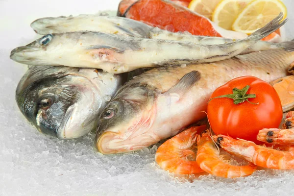 Fresh seafood on ice — Stock Photo, Image