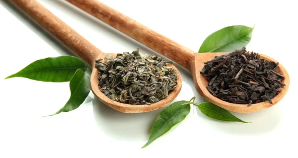 Сухой чай с зелеными листьями в деревянных ложках, изолированных на белом — стоковое фото