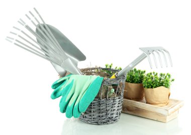 bahçe araçları beyaz üzerinde izole