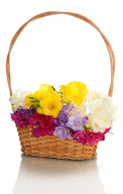 güzel sepeti, üzerinde beyaz izole Frezya buket