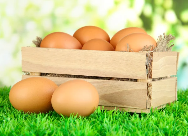 Viele Eier in Schachtel auf Gras auf hellem Hintergrund — Stockfoto