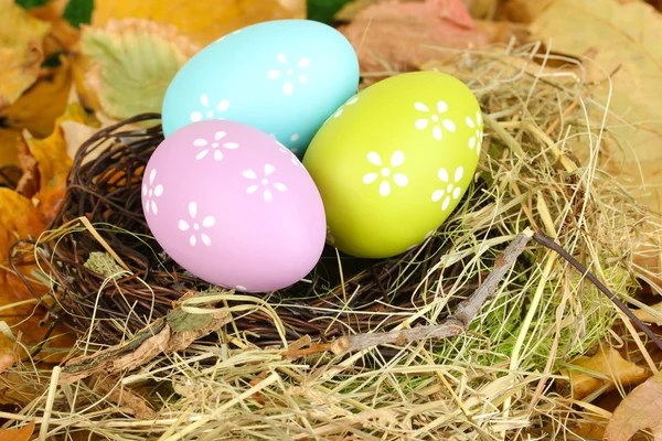 Huevos de Pascua escondidos en nido de paja natural —  Fotos de Stock