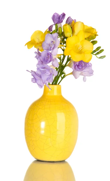 Bellissimo bouquet di fresie in vaso, isolato su bianco — Foto Stock