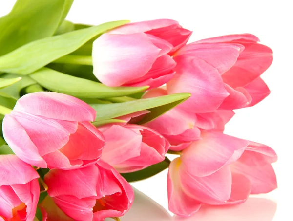 Рожеві тюльпани ізольовані на білому — стокове фото
