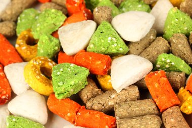 kuru köpek yakın kadar davranır.