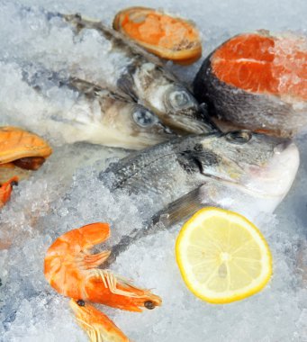 buz üstünde taze deniz ürünleri