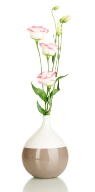 eustoma üzerinde beyaz izole Vazoda Çiçekler buket